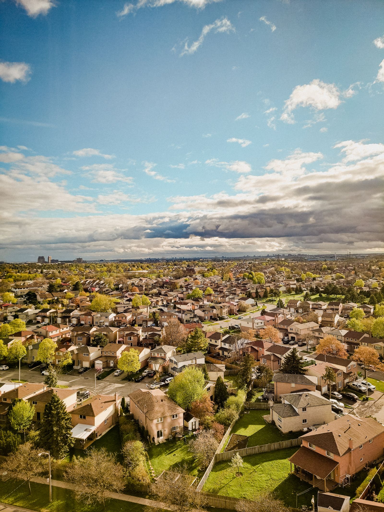 A leafy residential estate seen from above